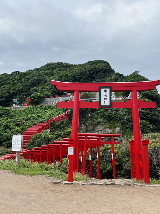 【山口観光】100m続く赤い鳥居のトンネルがある神社⛩