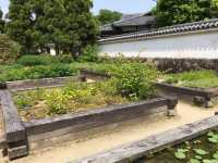 悠然漫步好古園：姬路城的靜謐之美