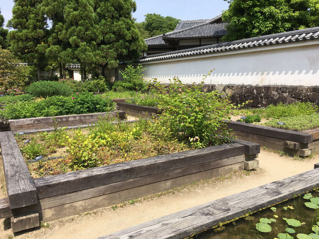 悠然漫步好古園：姬路城的靜謐之美