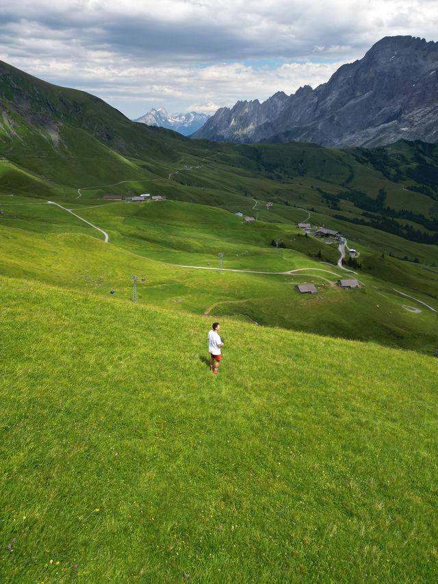 Hello...Switzerland เขียวขจีเดือนกรกฎาคม 