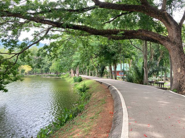 สัมผัสอากาศดีของเชียงใหม่ @ อ่างแก้ว 
