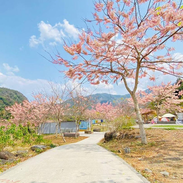 寶來花賞溫泉公園賞花