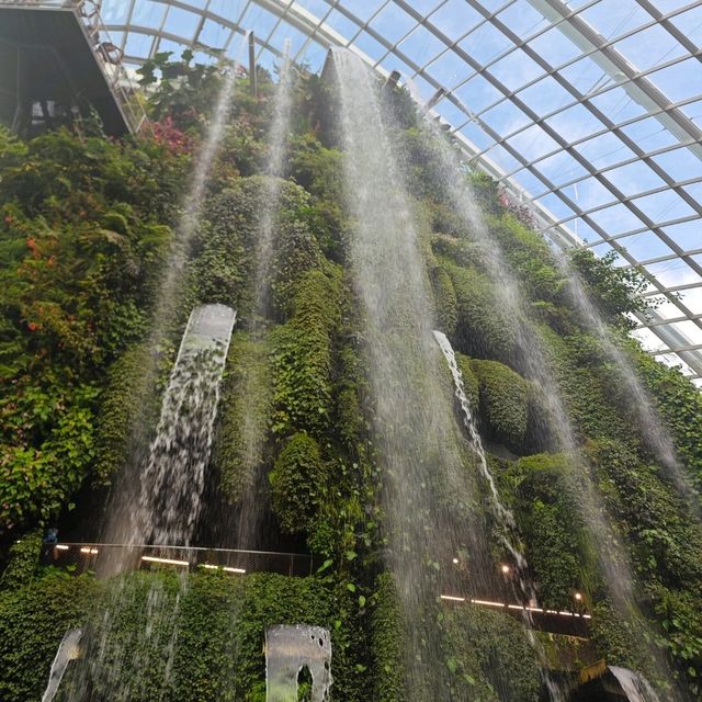 新加坡不能錯過之Garden by the bay