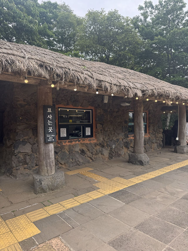 제주 동쪽 여행을 계획하신다면 꼭 방문해보세용 🍃