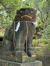 【福岡神社】センス抜群の花手水を楽しめる神社