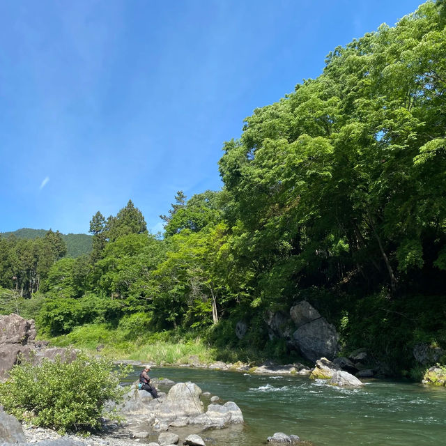 飛鳥山公園：賞花、散步、家庭聚會的理想選擇，寧靜自然樂園