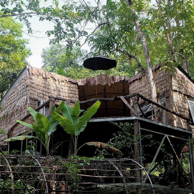 อยู่เถื่อน ณ สวนเกาะ - เชียงใหม่ 🏡