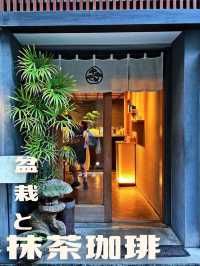 【東京|東銀座】盆栽と楽しむ抹茶コーヒー🍵