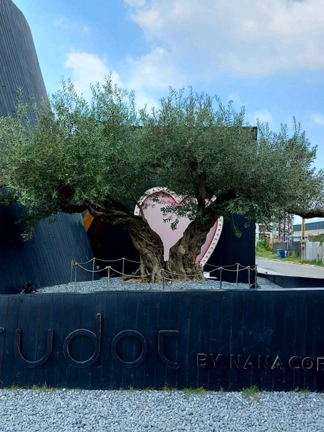 คาเฟ่เปิดใหม่ ใครๆ ก็ต้องมา harudot 