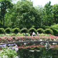 Stonor Park and Gardens - 歷史文化與自然景觀的完美結合