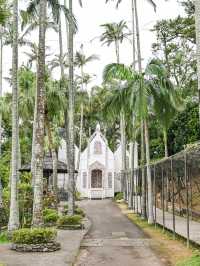 【沖縄｜沖縄市】女子旅にも子連れ旅にもおすすめ！東南植物園🌴