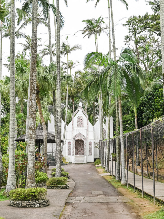 【沖縄｜沖縄市】女子旅にも子連れ旅にもおすすめ！東南植物園🌴
