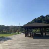 桃園 三坑自然生態公園 🏞️