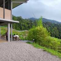 TALULAL HILL FARMSTAY RESORT 