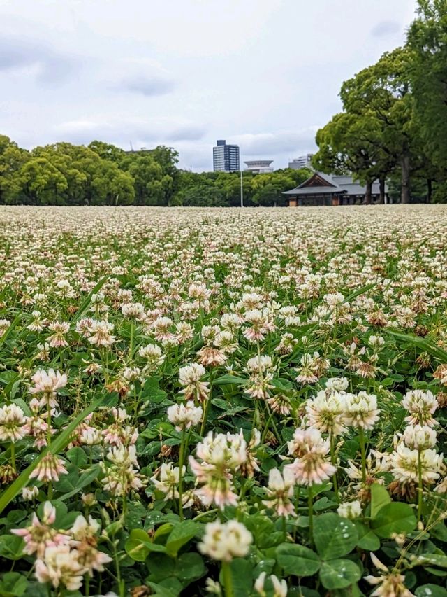 日本大阪-拍攝大阪城的絕佳之處：西の丸庭園