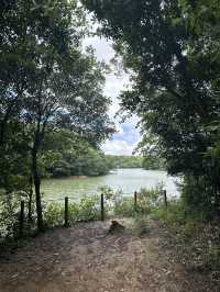 【福岡観光/自然】森林浴
