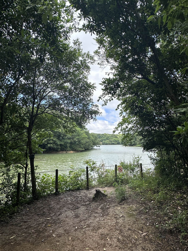 【福岡観光/自然】森林浴