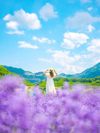 夏天就是要想到薰衣草，說到薰衣草就想到무릉별유천지 
