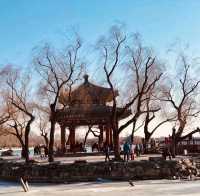 Fall Magic at Beijing's Summer Palace! 