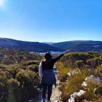 the best of Tassie