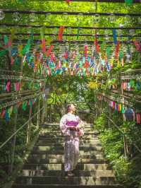 2500個の風鈴の音色が涼しげな『かえる寺」🐸