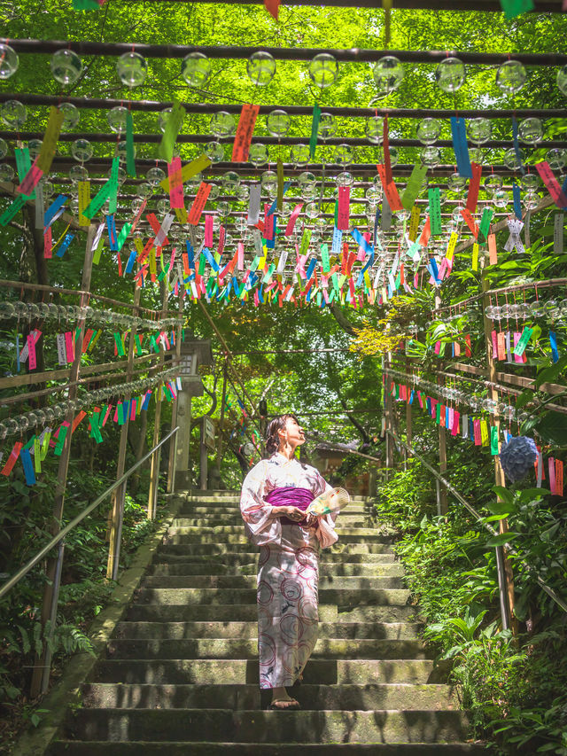 2500個の風鈴の音色が涼しげな『かえる寺」🐸