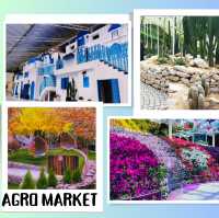 Blossoming Delights: Agro Market Cameron Highlands