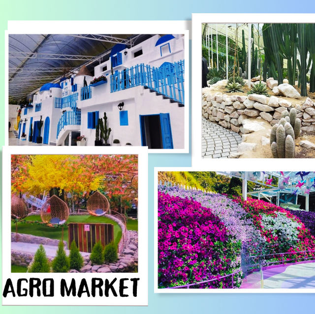 Blossoming Delights: Agro Market Cameron Highlands
