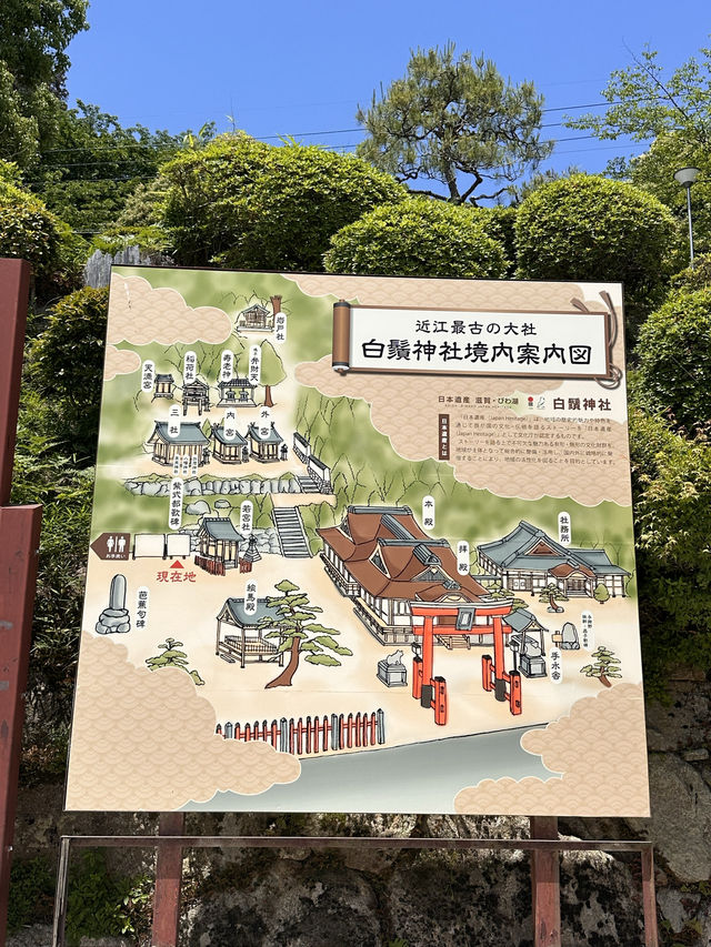 【滋賀観光】