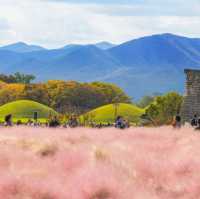 Daereungwon: Unveiling Ancient Royal Legacies in Gyeongju