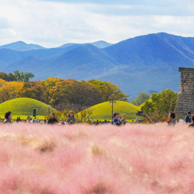 Daereungwon: Unveiling Ancient Royal Legacies in Gyeongju