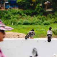 หมู่บ้านคีรีวง