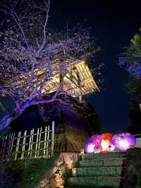 〜埼玉県〜MAP有り！忍城ライトアップ✨花手水WEEK2024