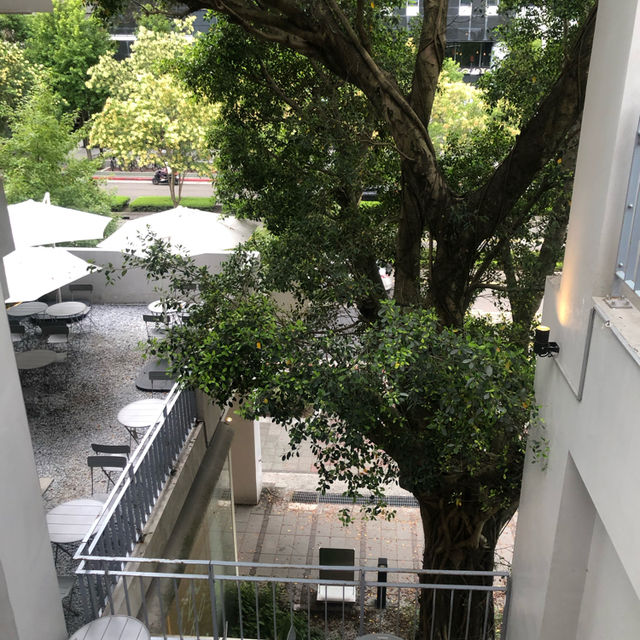 台北市純白森林系文青早午餐咖啡廳🌿