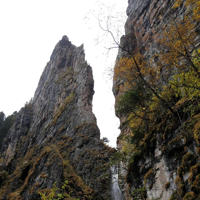 三池岳：壯麗自然風光
