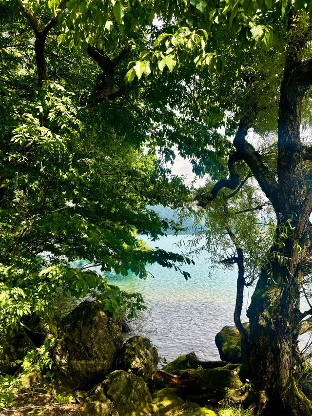 【日本東北】田澤湖：日本百景之一的最深湖泊