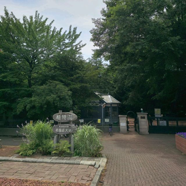 일본여행 홋카이도대학 식물원 北海道大学 植物園