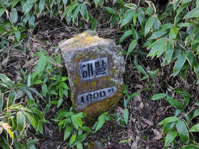 제주여행의 하이라이트