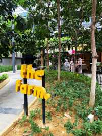 Oh Bangsar South KL had a farm 🌾👩🏻‍🌾👨🏻‍🌾