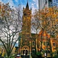 Melbourne's Golden Glow: Autumn's Warm Embrace