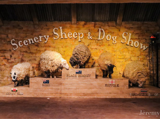 รีวิว The Scenery Vintage Farm สวนผึ้ง 