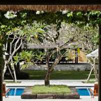 Slow travel ✨ 5 Days 4 Nights in Bali: Eat, Pray, Love