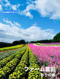 【北海道:中富良野エリア】絶景！！ファーム富田-彩りの畑-