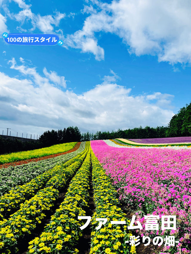 【北海道:中富良野エリア】絶景！！ファーム富田-彩りの畑-