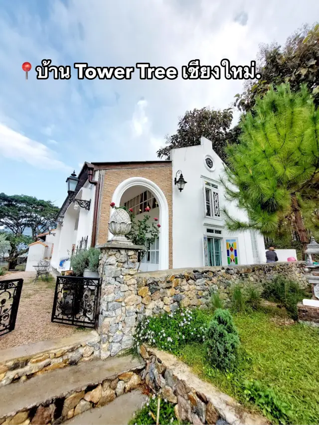 清邁Tower Tree民宿。