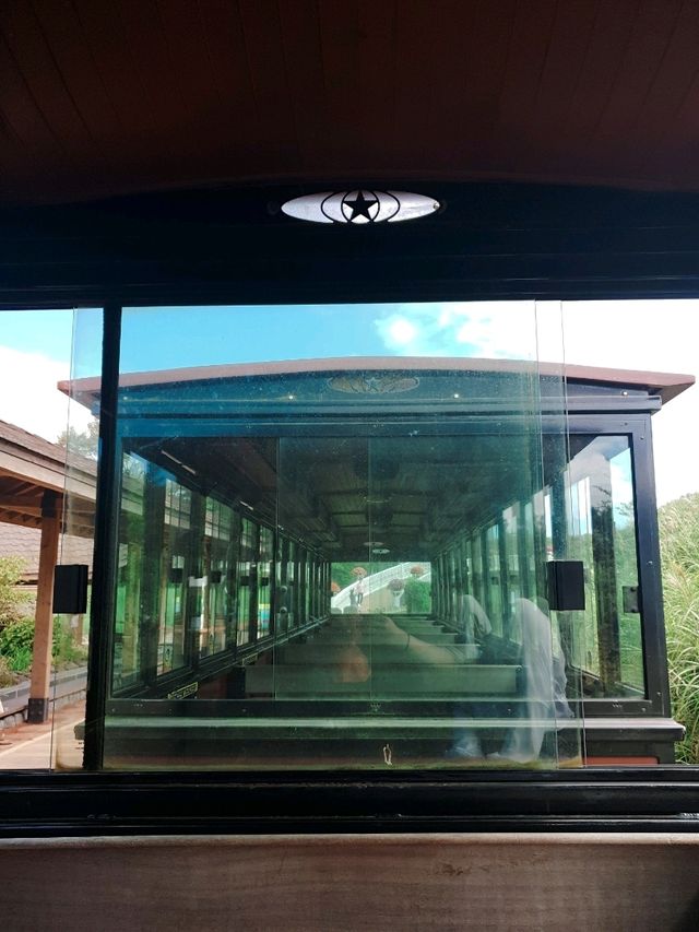 제주 여행 필수코스~! 에코랜드 테마파크🏞