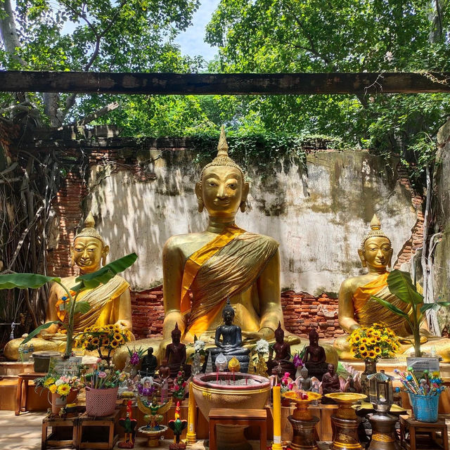 📍 วัดสังกระต่าย อ่างทอง