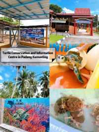 The Turtle Conservation and Information Centre in Padang Kemunting