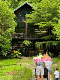 📍🥤Into The Forest กระบี่