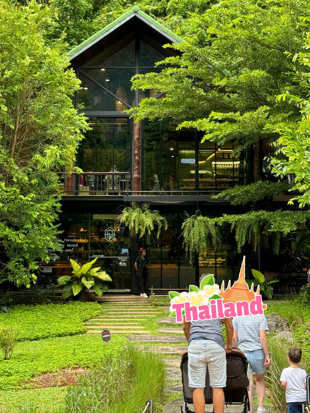 📍🥤Into The Forest กระบี่